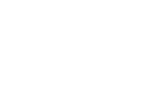 Domovo-vertical-logo-white